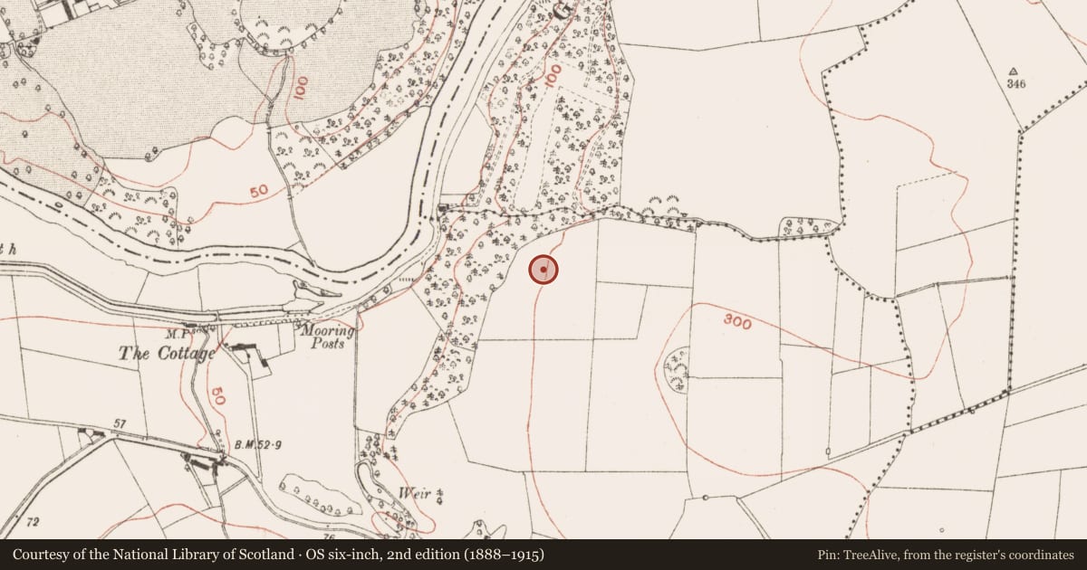 Ordnance Survey six-inch map, 2nd edition (1888–1915) covering the location of Enclosure, Stalleen, County Meath, with a pin at the register's coordinates