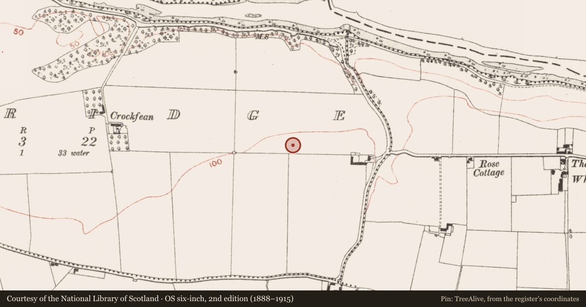 Ordnance Survey six-inch map, 2nd edition (1888–1915) covering the location of Enclosure, Oldbridge, County Meath, with a pin at the register's coordinates