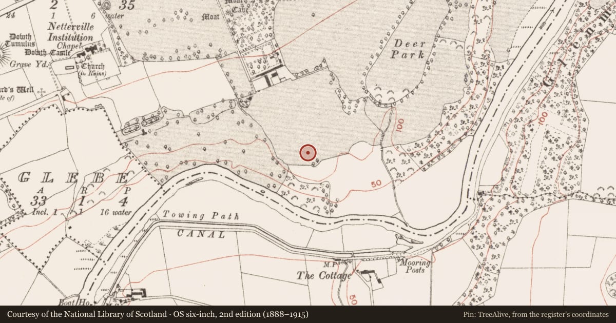 Ordnance Survey six-inch map, 2nd edition (1888–1915) covering the location of Concentric enclosure, Dowth, County Meath, with a pin at the register's coordinates