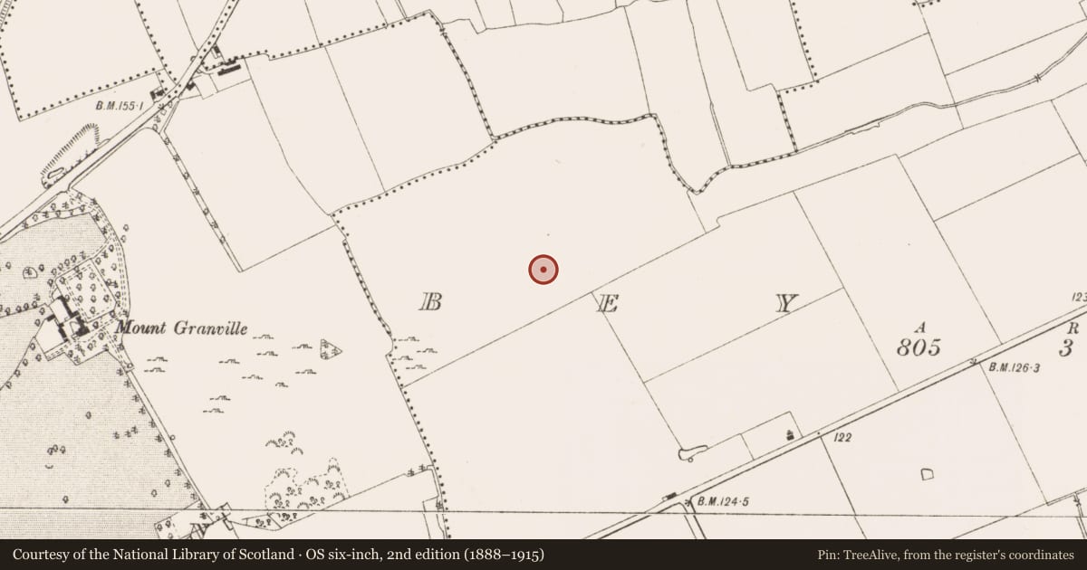 Ordnance Survey six-inch map, 2nd edition (1888–1915) covering the location of Enclosure, Bey More, County Meath, with a pin at the register's coordinates