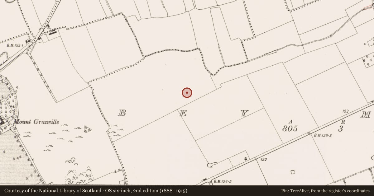 Ordnance Survey six-inch map, 2nd edition (1888–1915) covering the location of Field system, Bey More, County Meath, with a pin at the register's coordinates