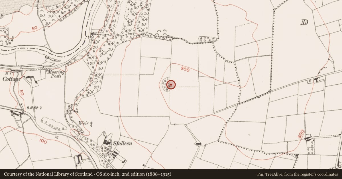 Ordnance Survey six-inch map, 2nd edition (1888–1915) covering the location of Prehistoric site - lithic scatter, Stalleen, County Meath, with a pin at the register's coordinates