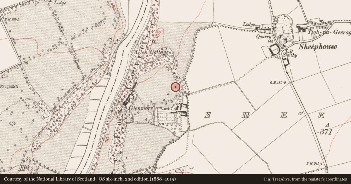 Ordnance Survey six-inch map, 2nd edition (1888–1915) covering the location of Souterrain, Oldbridge, County Meath, with a pin at the register's coordinates