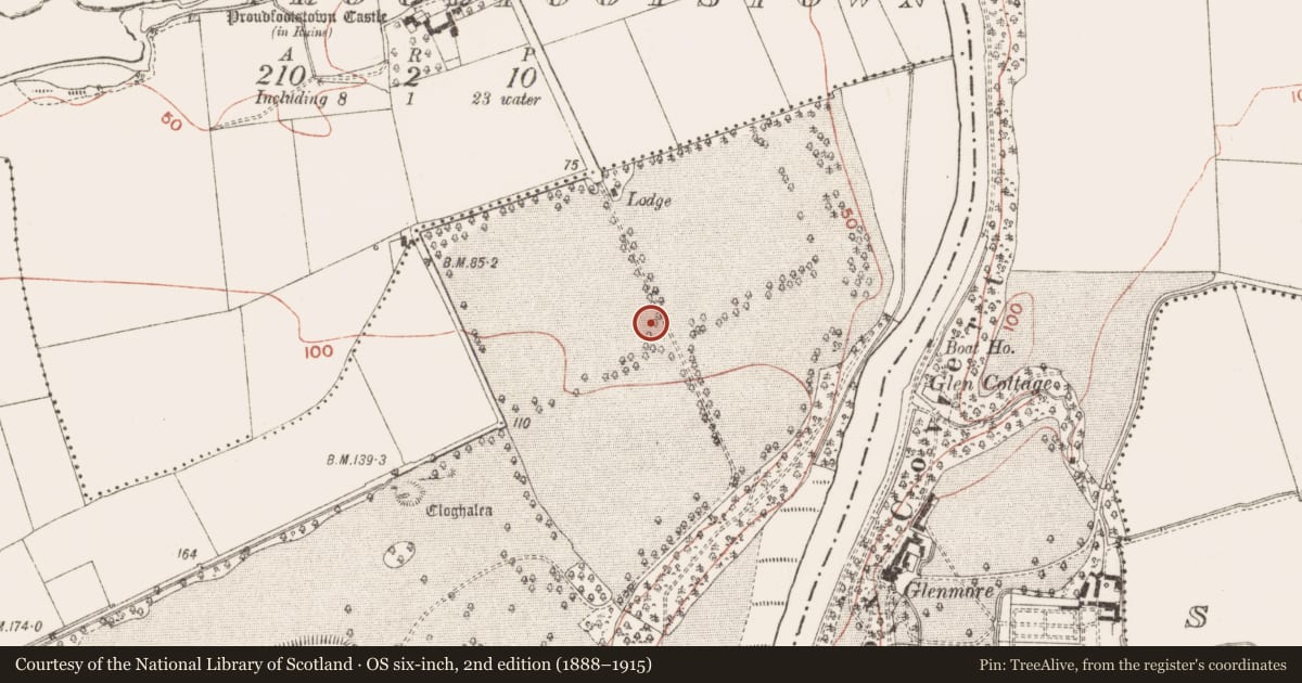 Ordnance Survey six-inch map, 2nd edition (1888–1915) covering the location of Field system, Dowth, County Meath, with a pin at the register's coordinates