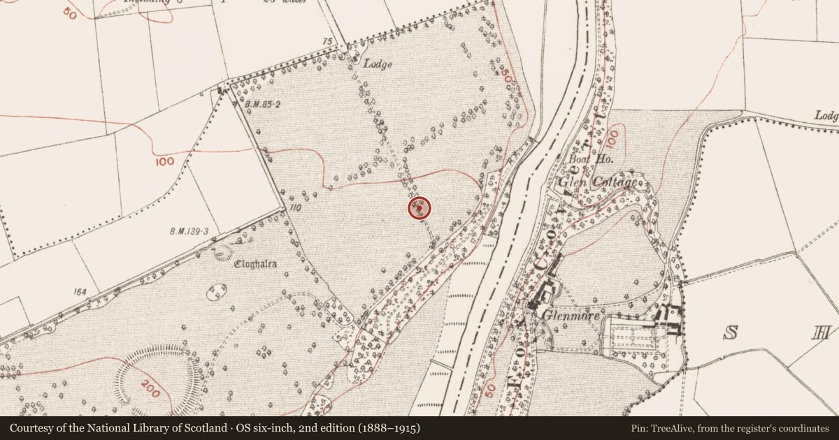 Ordnance Survey six-inch map, 2nd edition (1888–1915) covering the location of Enclosure, Dowth, County Meath, with a pin at the register's coordinates