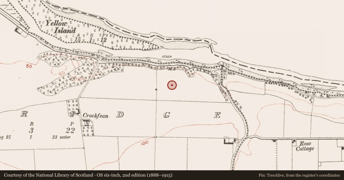 Ordnance Survey six-inch map, 2nd edition (1888–1915) covering the location of Enclosure, Oldbridge, County Meath, with a pin at the register's coordinates