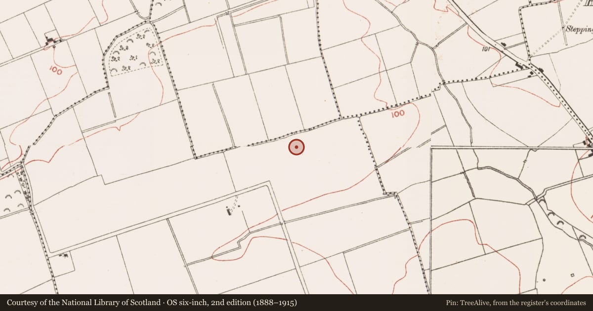 Ordnance Survey six-inch map, 2nd edition (1888–1915) covering the location of Ring-ditch, Rogerstown, County Meath, with a pin at the register's coordinates