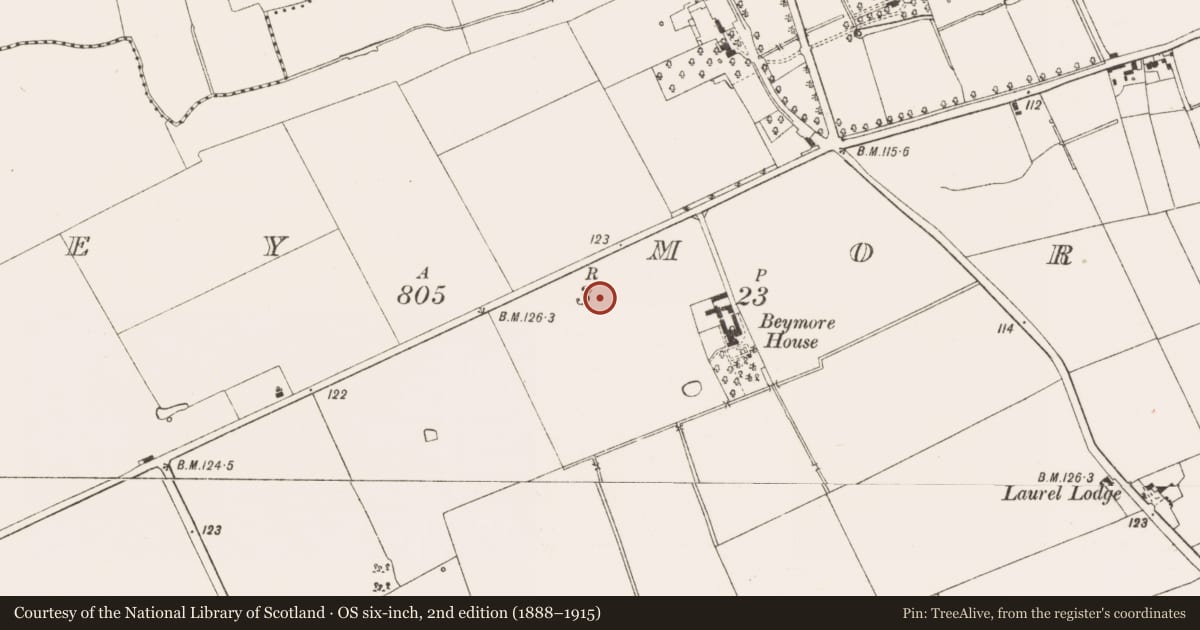 Ordnance Survey six-inch map, 2nd edition (1888–1915) covering the location of Enclosure, Bey More, County Meath, with a pin at the register's coordinates