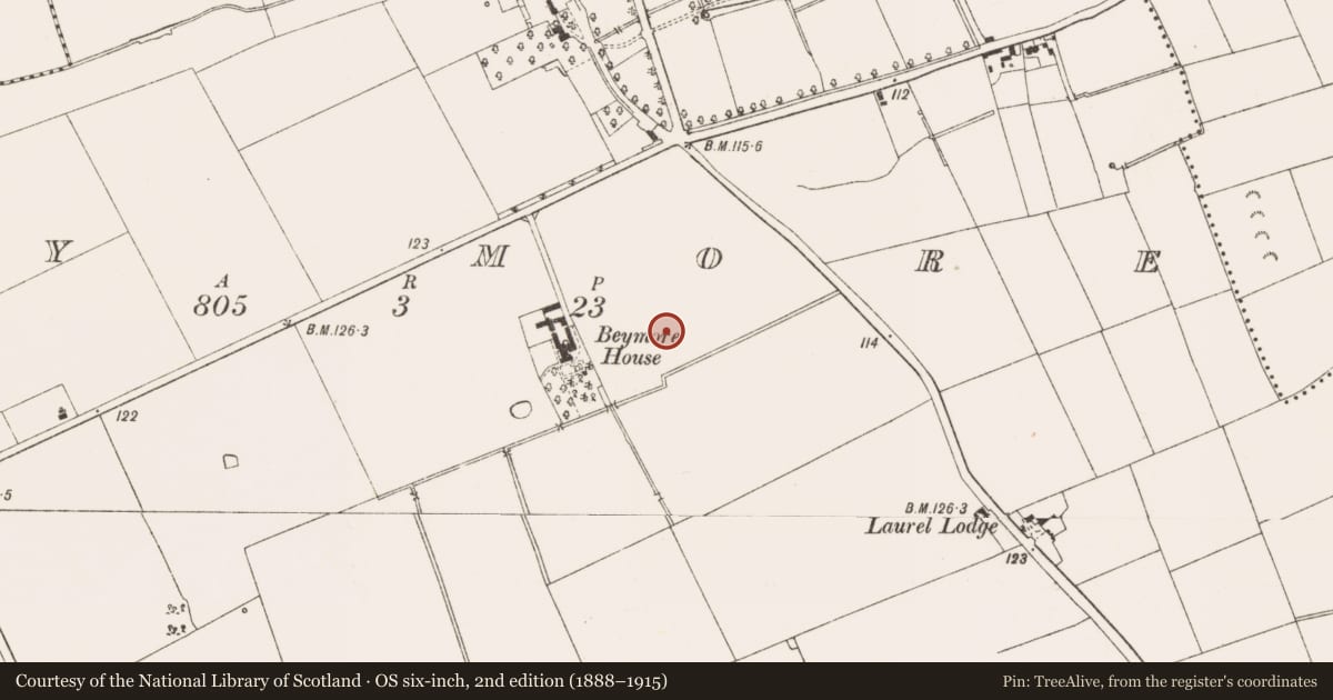 Ordnance Survey six-inch map, 2nd edition (1888–1915) covering the location of Field system, Bey More, County Meath, with a pin at the register's coordinates