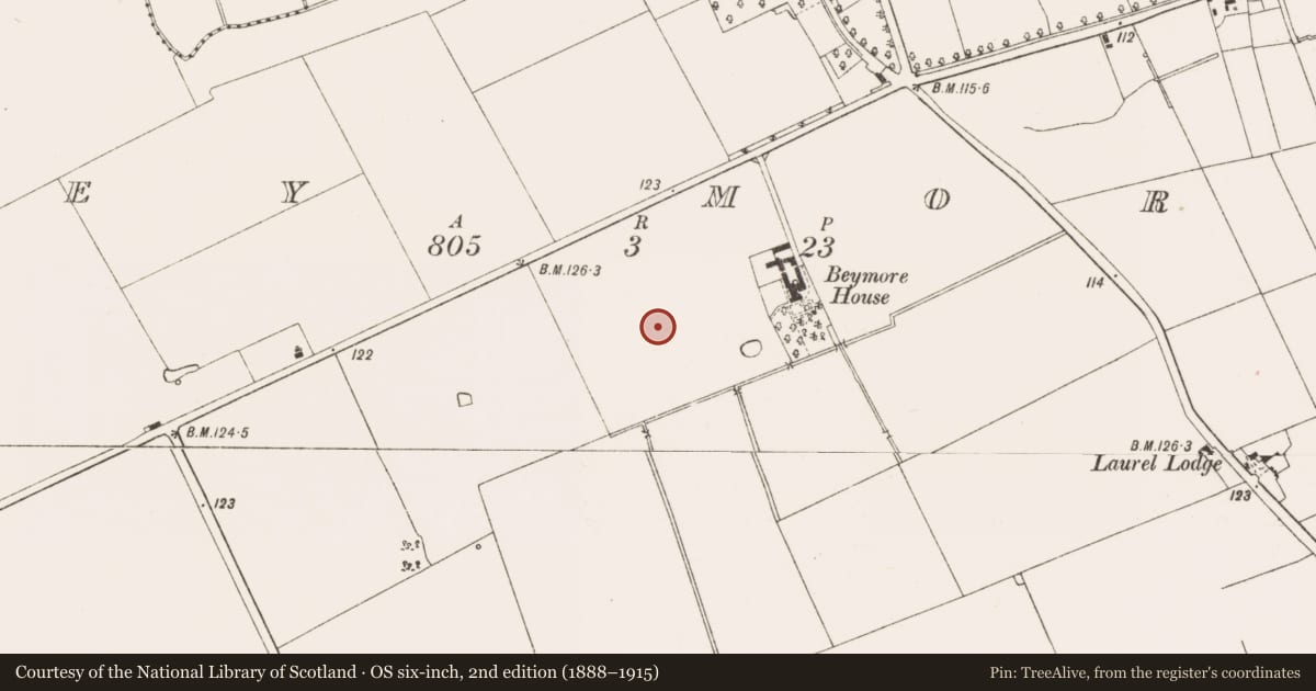 Ordnance Survey six-inch map, 2nd edition (1888–1915) covering the location of Enclosure, Bey More, County Meath, with a pin at the register's coordinates