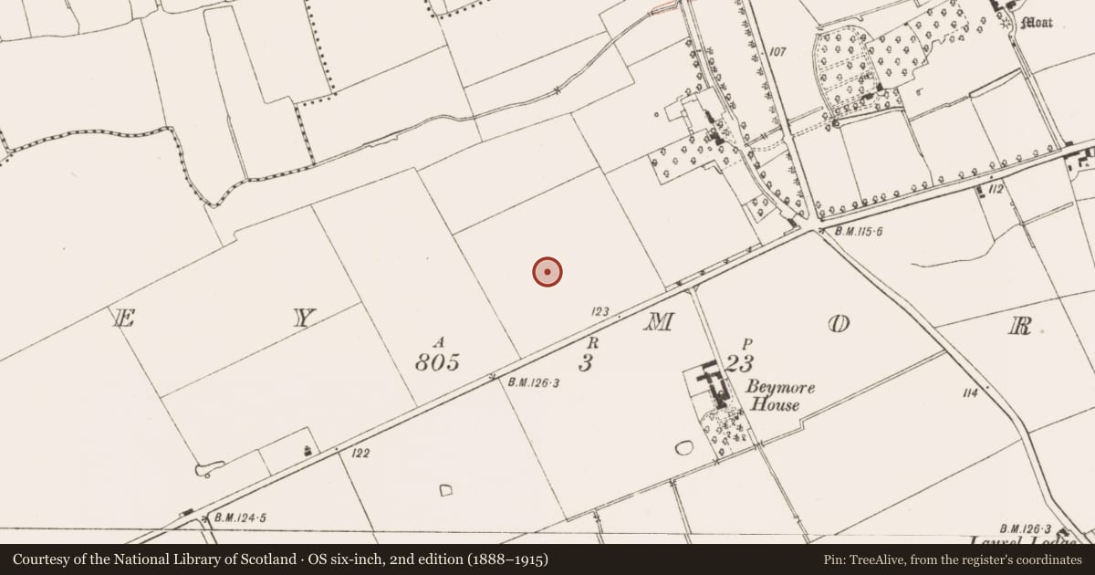 Ordnance Survey six-inch map, 2nd edition (1888–1915) covering the location of Ringfort - rath, Bey More, County Meath, with a pin at the register's coordinates
