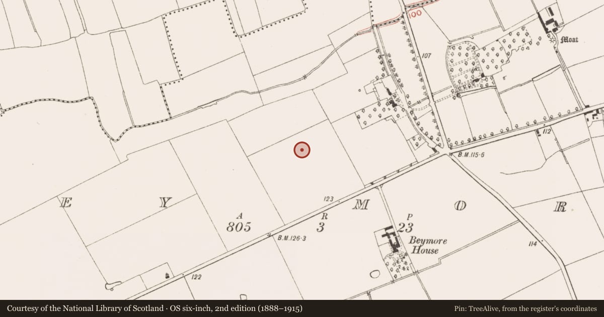 Ordnance Survey six-inch map, 2nd edition (1888–1915) covering the location of Field system, Bey More, County Meath, with a pin at the register's coordinates