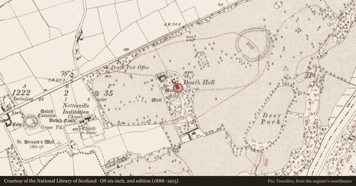 Ordnance Survey six-inch map, 2nd edition (1888–1915) covering the location of Megalithic tomb - passage tomb, Dowth, County Meath, with a pin at the register's coordinates