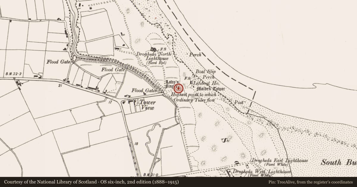 Ordnance Survey six-inch map, 2nd edition (1888–1915) covering the location of Monumental structure, Mornington, County Meath, with a pin at the register's coordinates