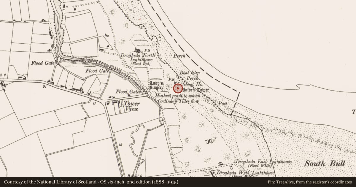 Ordnance Survey six-inch map, 2nd edition (1888–1915) covering the location of Watchtower, Mornington, County Meath, with a pin at the register's coordinates