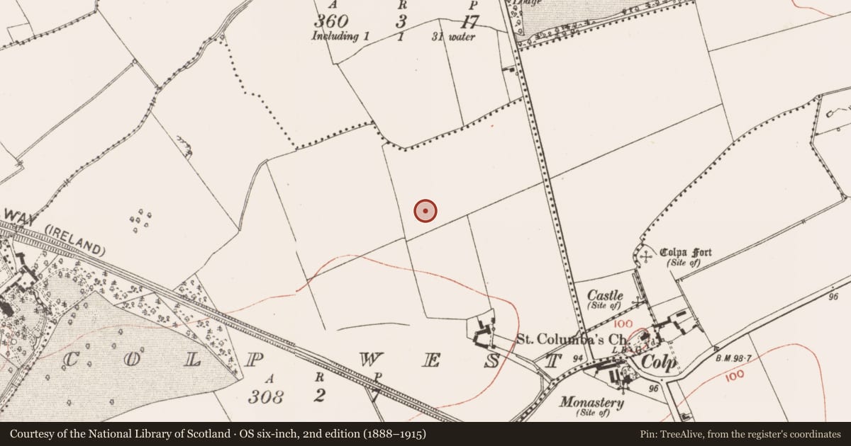 Ordnance Survey six-inch map, 2nd edition (1888–1915) covering the location of Burial, Colp West, County Meath, with a pin at the register's coordinates