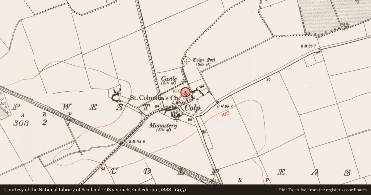 Ordnance Survey six-inch map, 2nd edition (1888–1915) covering the location of Settlement cluster, County Meath, with a pin at the register's coordinates