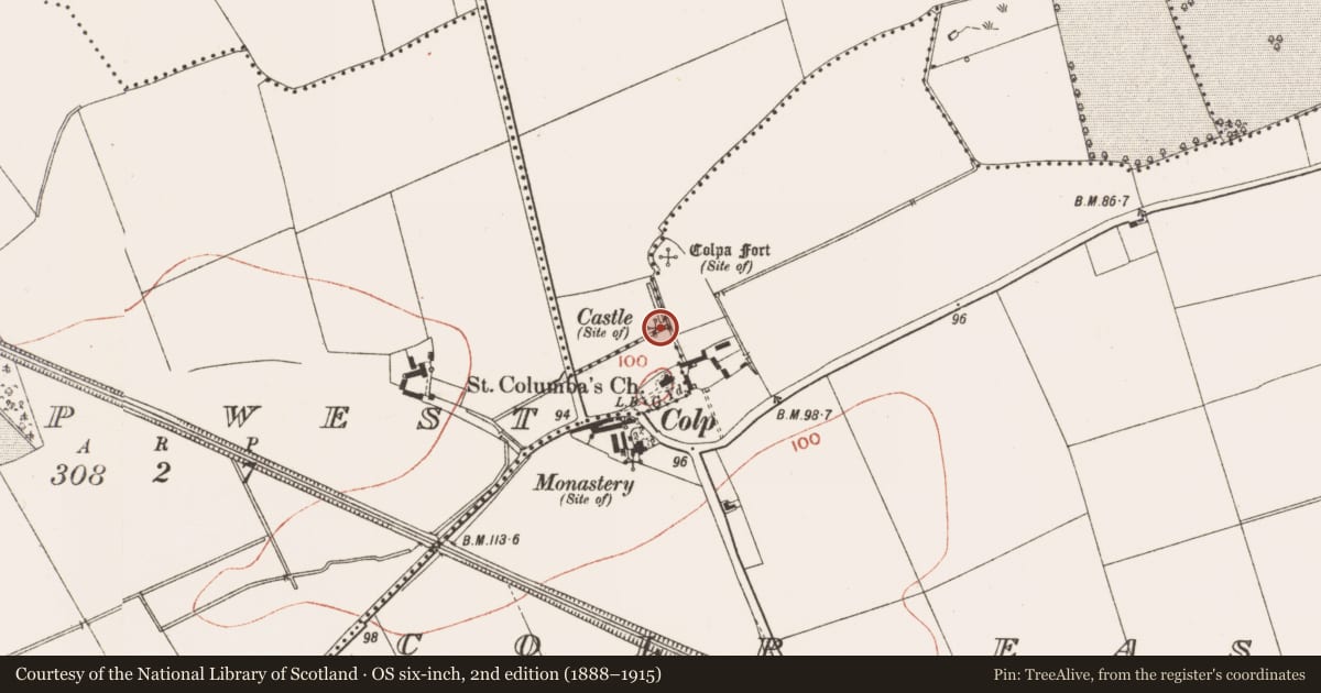 Ordnance Survey six-inch map, 2nd edition (1888–1915) covering the location of Castle - unclassified, Mornington, County Meath, with a pin at the register's coordinates