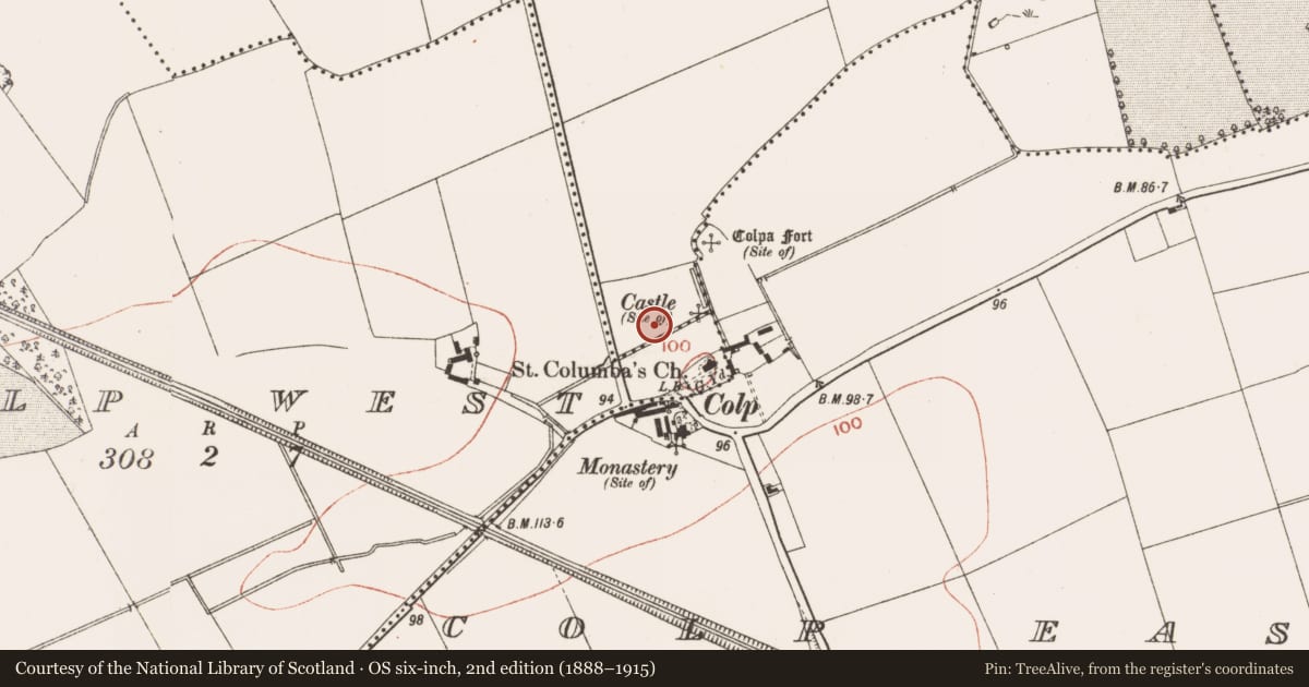 Ordnance Survey six-inch map, 2nd edition (1888–1915) covering the location of Earthwork, Mornington, County Meath, with a pin at the register's coordinates
