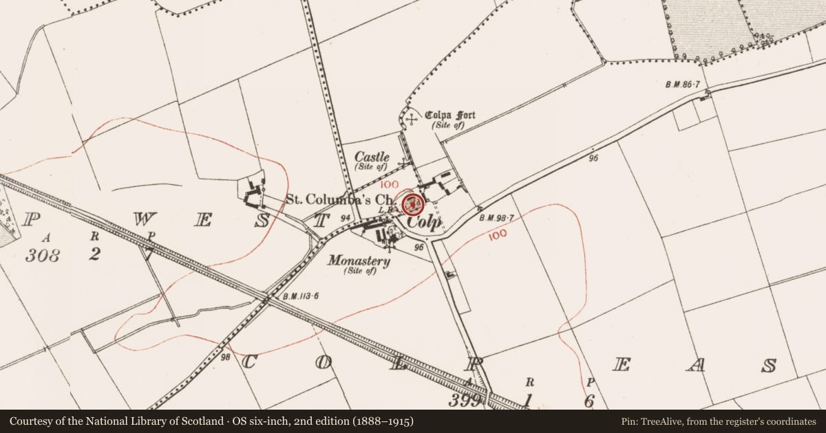 Ordnance Survey six-inch map, 2nd edition (1888–1915) covering the location of Church, Colp West, County Meath, with a pin at the register's coordinates