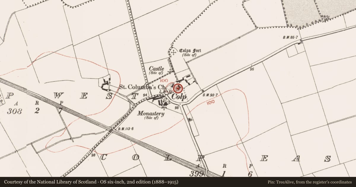 Ordnance Survey six-inch map, 2nd edition (1888–1915) covering the location of Cross, Colp West, County Meath, with a pin at the register's coordinates