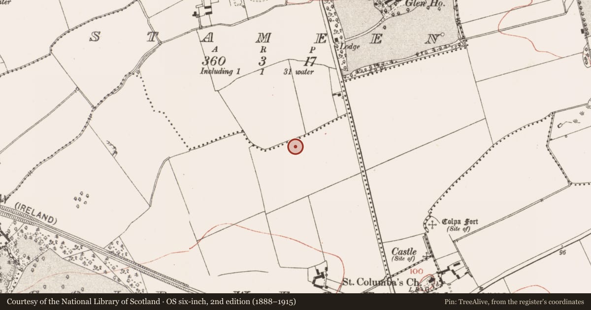 Ordnance Survey six-inch map, 2nd edition (1888–1915) covering the location of Burnt mound, Colp West, County Meath, with a pin at the register's coordinates
