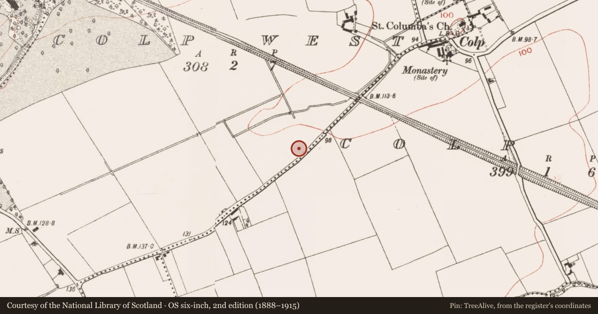 Ordnance Survey six-inch map, 2nd edition (1888–1915) covering the location of Fulacht fia, Colp West, County Meath, with a pin at the register's coordinates