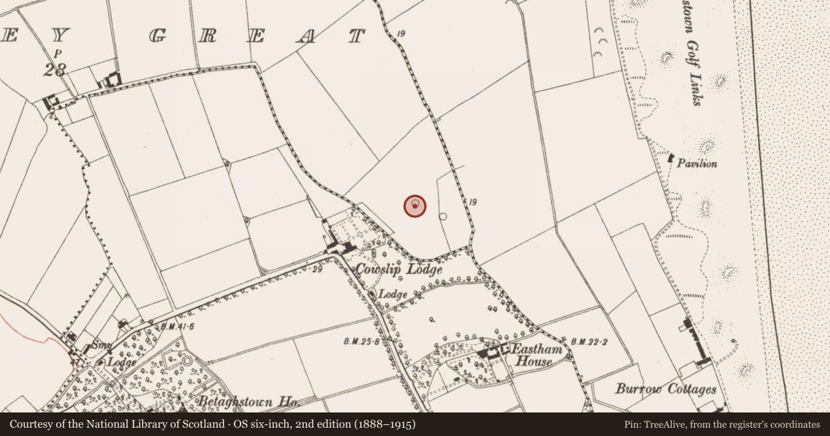 Ordnance Survey six-inch map, 2nd edition (1888–1915) covering the location of Barrow - ring-barrow, Donacarney Great, County Meath, with a pin at the register's coordinates