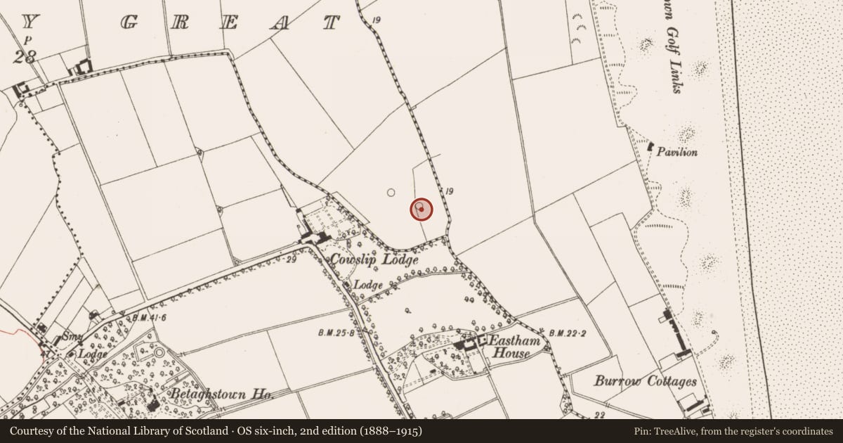 Ordnance Survey six-inch map, 2nd edition (1888–1915) covering the location of Barrow - ring-barrow, Donacarney Great, County Meath, with a pin at the register's coordinates