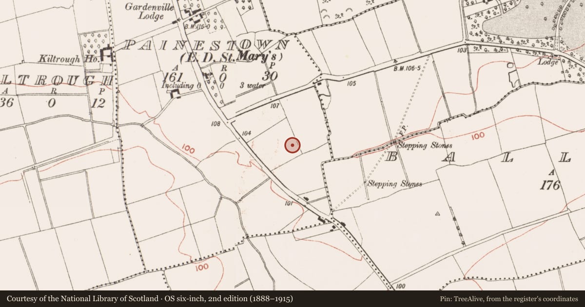 Ordnance Survey six-inch map, 2nd edition (1888–1915) covering the location of Enclosure, Painestown (Duleek Lower By., Colp Par.), County Meath, with a pin at the register's coordinates