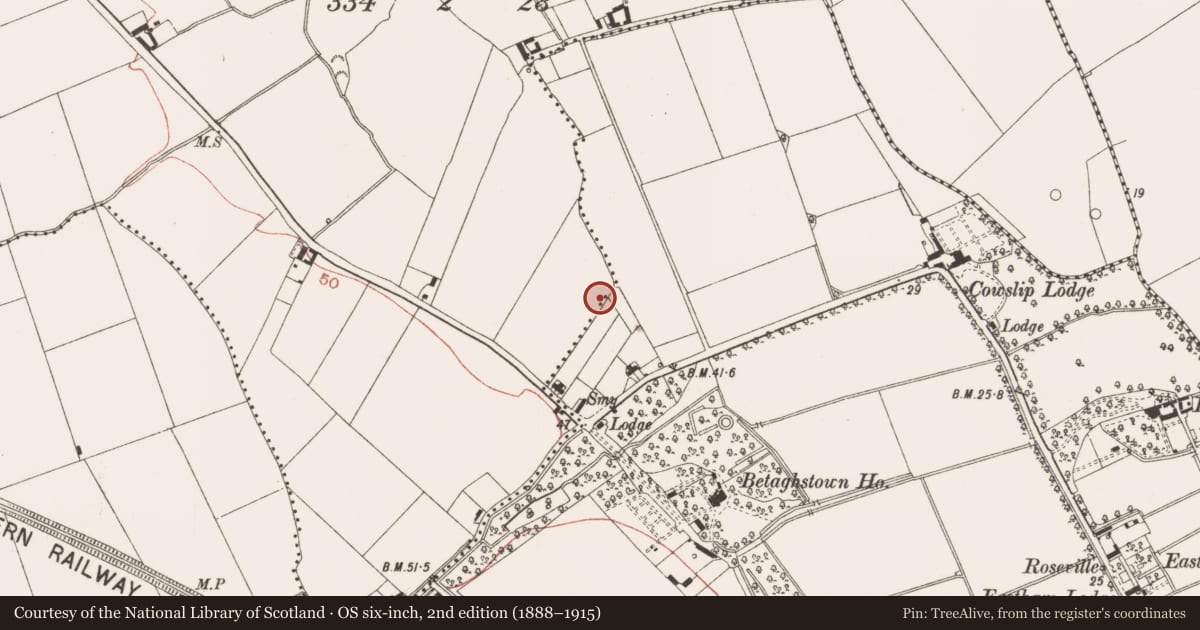 Ordnance Survey six-inch map, 2nd edition (1888–1915) covering the location of Burial ground, Donacarney Great, County Meath, with a pin at the register's coordinates