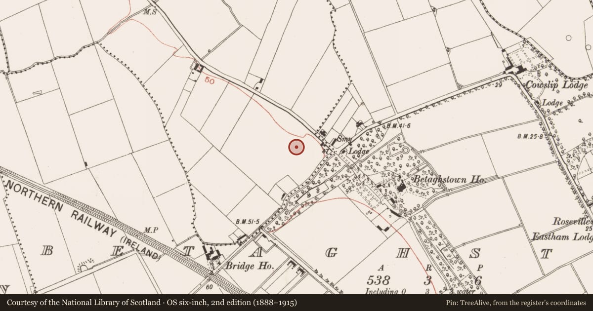 Ordnance Survey six-inch map, 2nd edition (1888–1915) covering the location of Habitation site, Donacarney Great, County Meath, with a pin at the register's coordinates