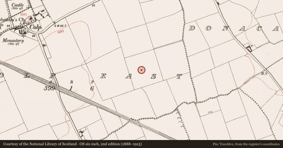 Ordnance Survey six-inch map, 2nd edition (1888–1915) covering the location of Ringfort - rath, Colp East, County Meath, with a pin at the register's coordinates