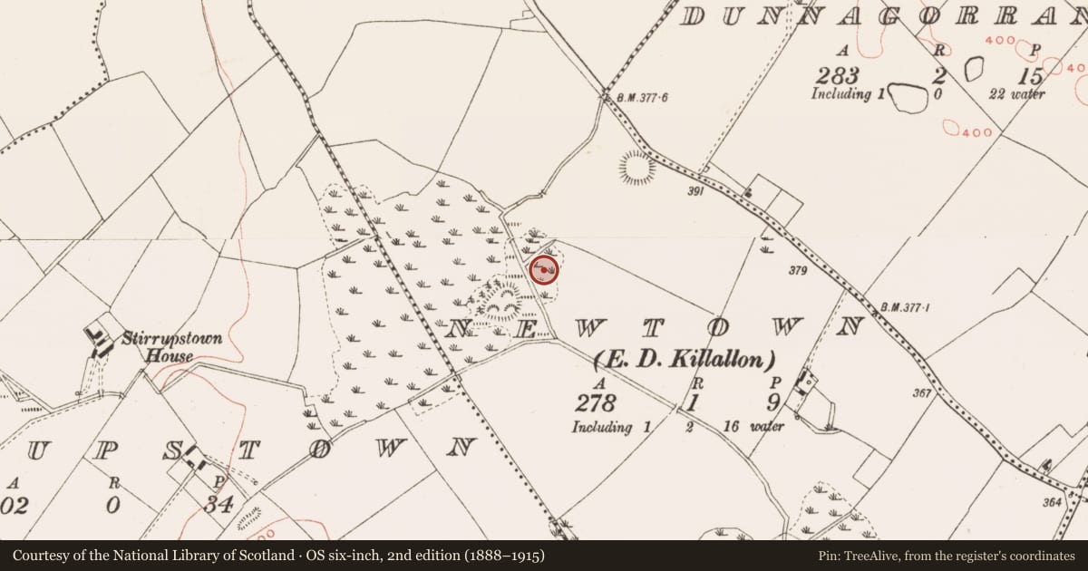 Ordnance Survey six-inch map, 2nd edition (1888–1915) covering the location of Fulacht fia, Newtown, County Meath, with a pin at the register's coordinates