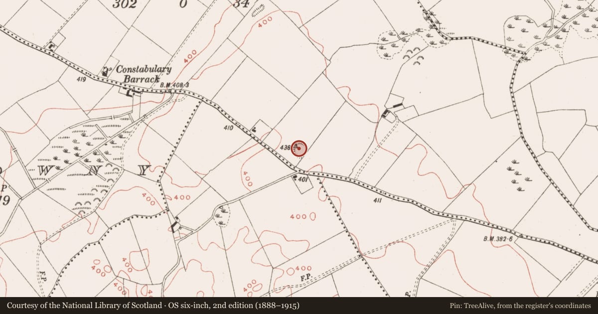 Ordnance Survey six-inch map, 2nd edition (1888–1915) covering the location of Ringfort - rath, Stirrupstown, County Meath, with a pin at the register's coordinates