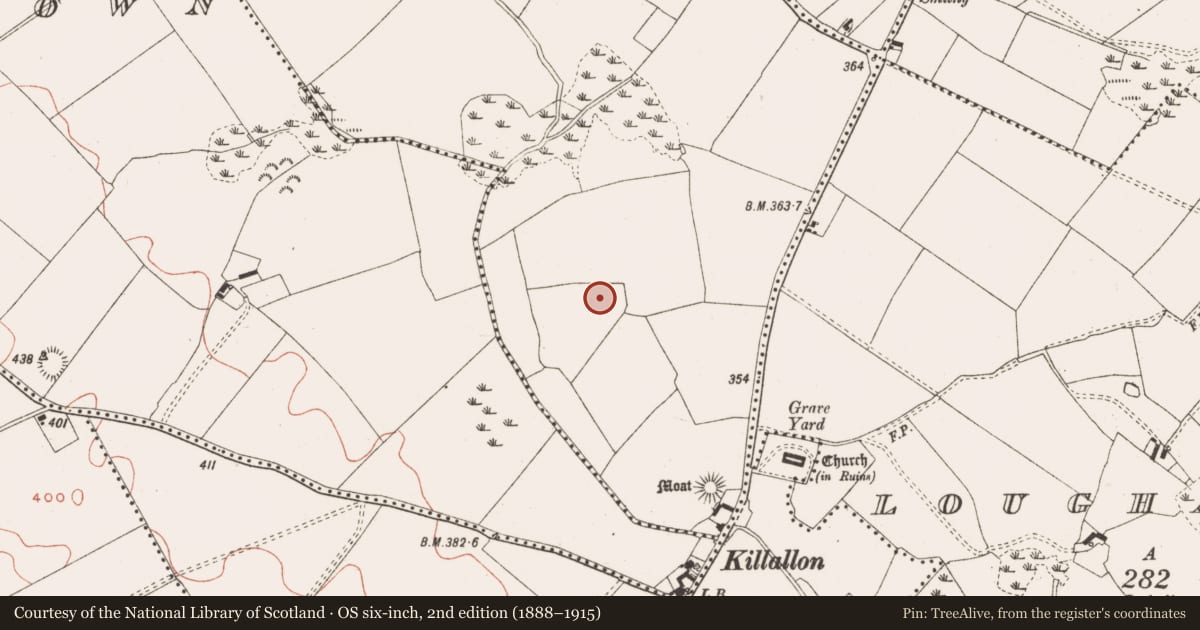 Ordnance Survey six-inch map, 2nd edition (1888–1915) covering the location of Moated site, Newtown, County Meath, with a pin at the register's coordinates
