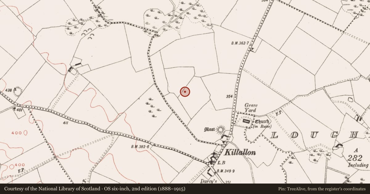 Ordnance Survey six-inch map, 2nd edition (1888–1915) covering the location of Field system, Newtown, County Meath, with a pin at the register's coordinates