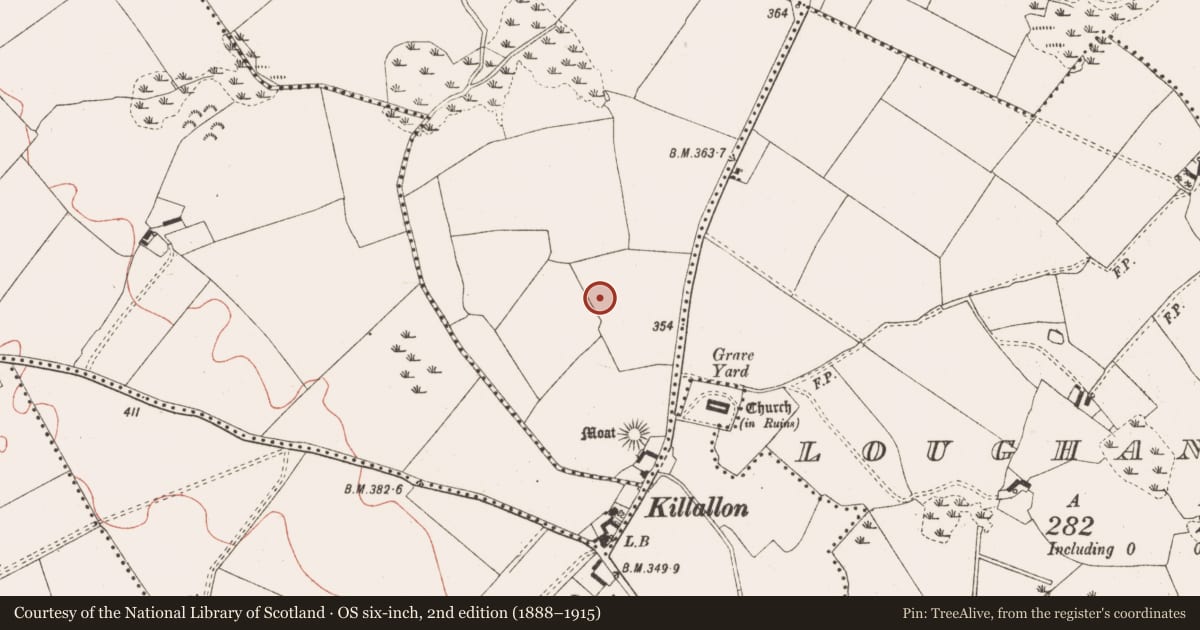 Ordnance Survey six-inch map, 2nd edition (1888–1915) covering the location of Mound, Newtown, County Meath, with a pin at the register's coordinates