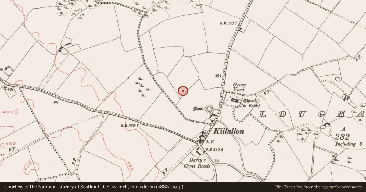 Ordnance Survey six-inch map, 2nd edition (1888–1915) covering the location of Mound, Newtown, County Meath, with a pin at the register's coordinates