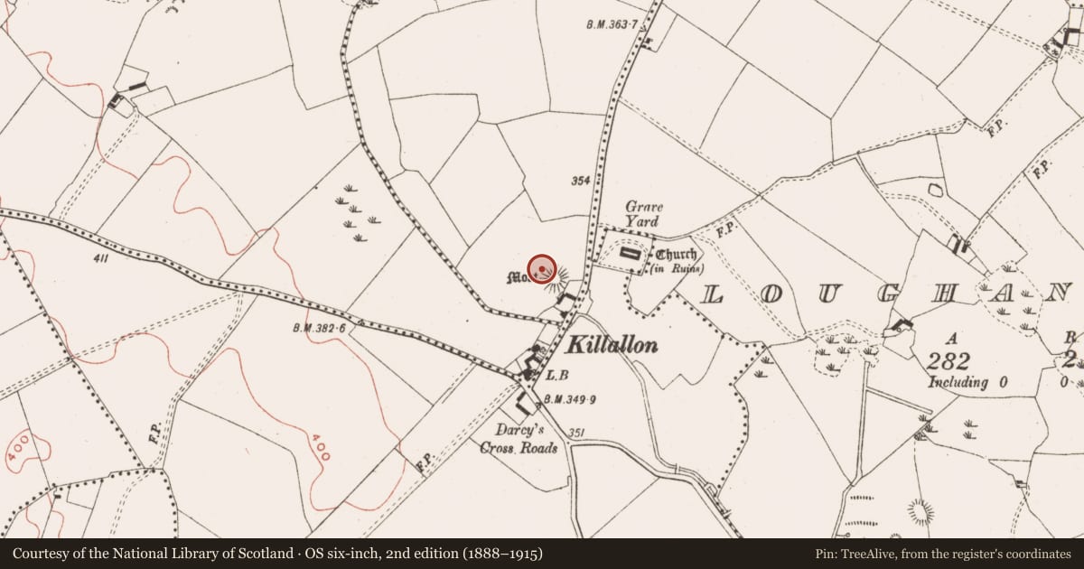 Ordnance Survey six-inch map, 2nd edition (1888–1915) covering the location of Castle - motte and bailey, Newtown, County Meath, with a pin at the register's coordinates