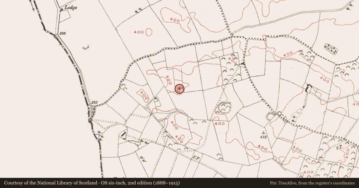 Ordnance Survey six-inch map, 2nd edition (1888–1915) covering the location of Ringfort - rath, Geehanstown, County Meath, with a pin at the register's coordinates