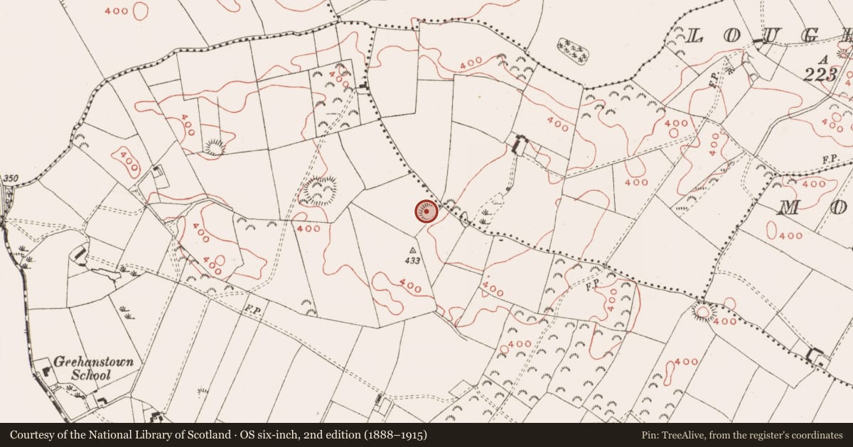 Ordnance Survey six-inch map, 2nd edition (1888–1915) covering the location of Ringfort - rath, Geehanstown, County Meath, with a pin at the register's coordinates