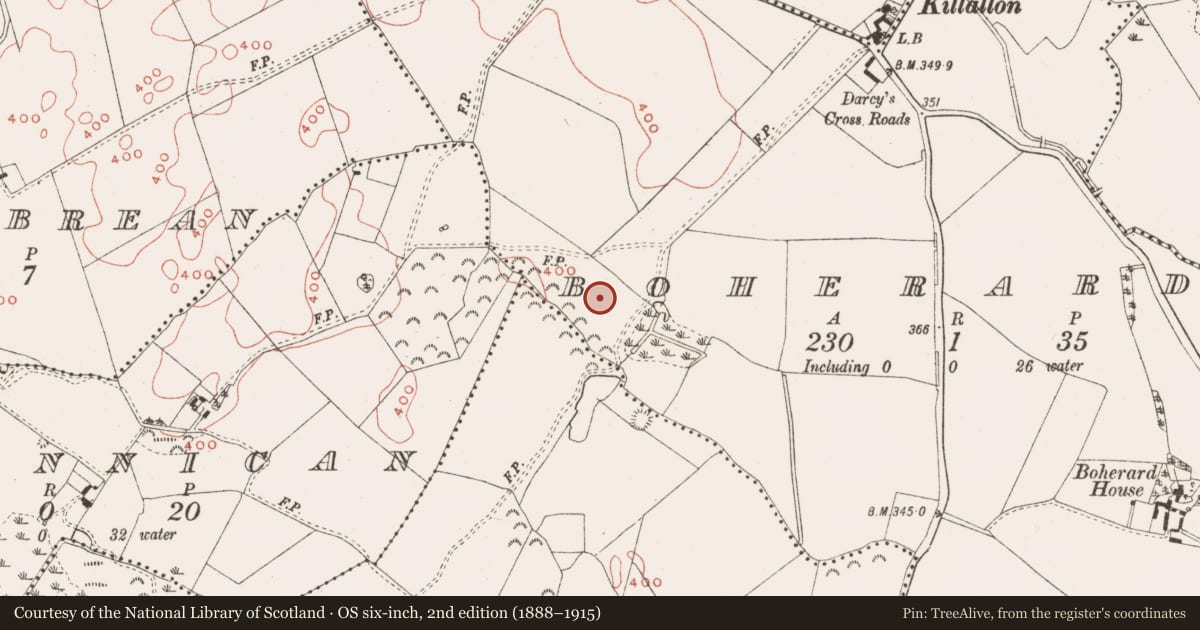 Ordnance Survey six-inch map, 2nd edition (1888–1915) covering the location of Enclosure, Boherard, County Meath, with a pin at the register's coordinates