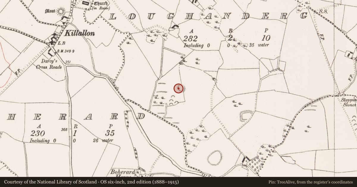 Ordnance Survey six-inch map, 2nd edition (1888–1915) covering the location of Ringfort - rath, Loughanderg, County Meath, with a pin at the register's coordinates