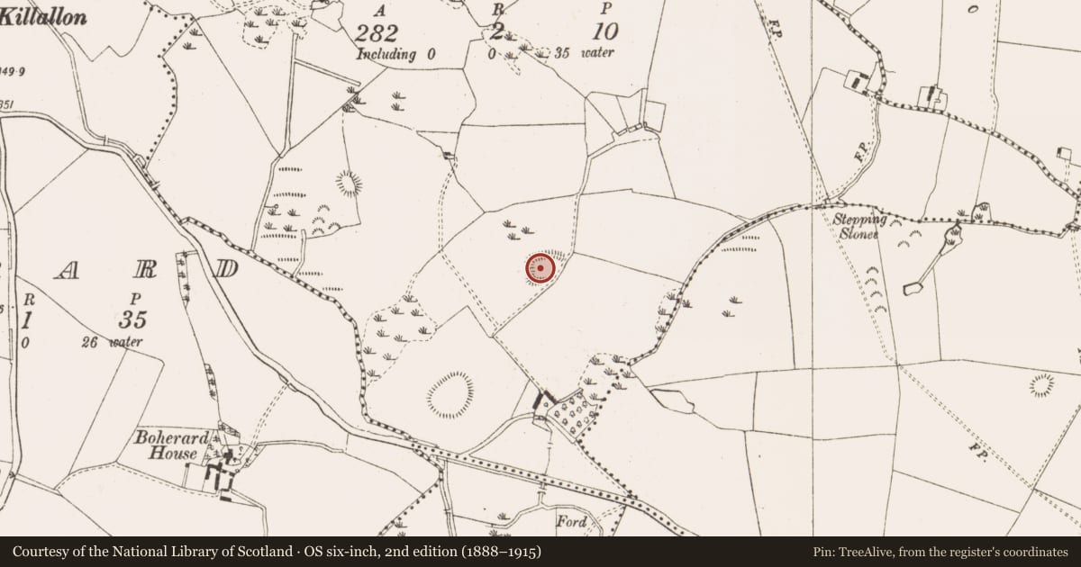 Ordnance Survey six-inch map, 2nd edition (1888–1915) covering the location of Moated site, Loughanderg, County Meath, with a pin at the register's coordinates