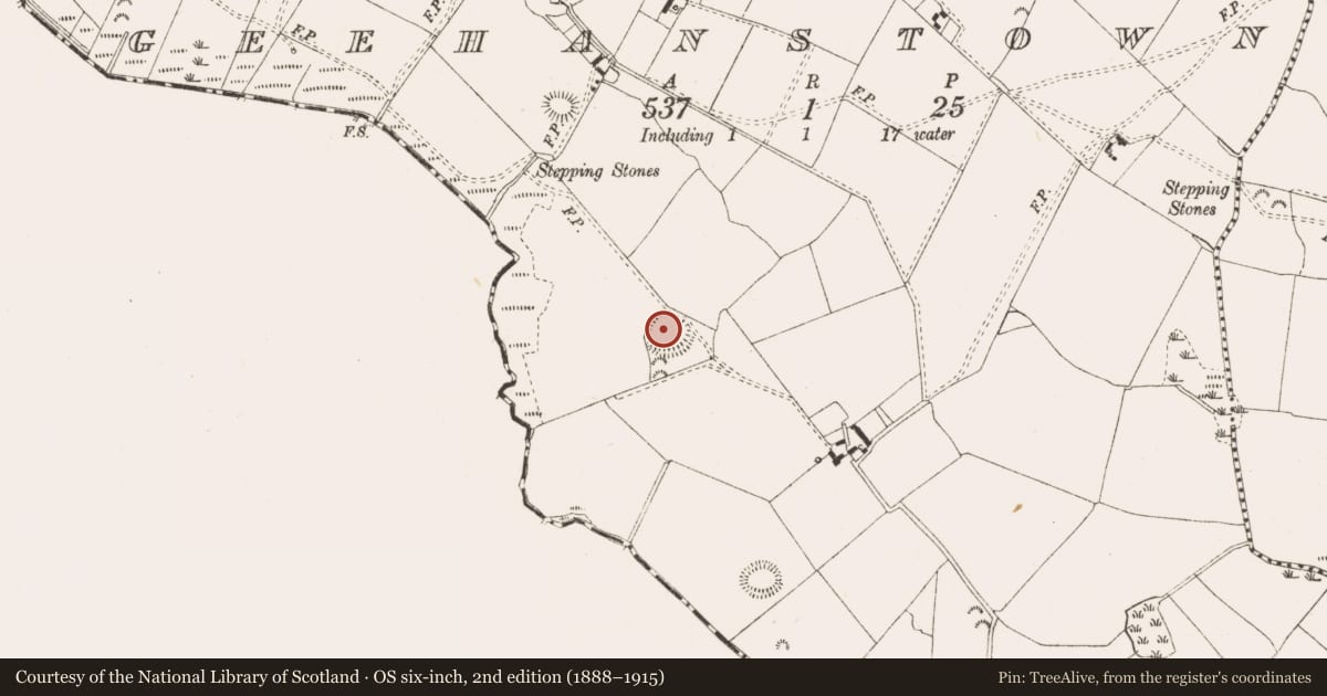 Ordnance Survey six-inch map, 2nd edition (1888–1915) covering the location of Ringfort - rath, Geehanstown, County Meath, with a pin at the register's coordinates