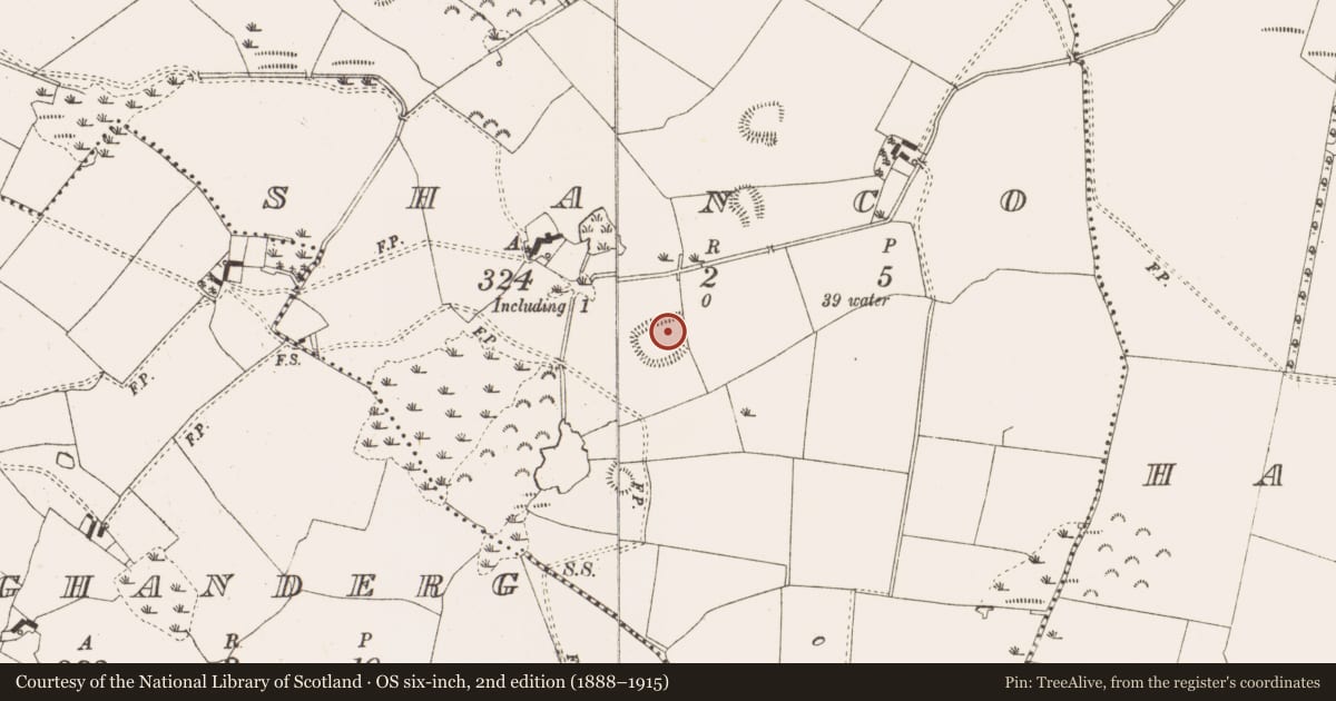 Ordnance Survey six-inch map, 2nd edition (1888–1915) covering the location of House - indeterminate date, Shanco, County Meath, with a pin at the register's coordinates