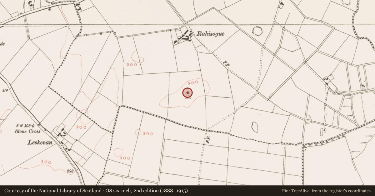 Ordnance Survey six-inch map, 2nd edition (1888–1915) covering the location of Barrow - ring-barrow, Robinstown, County Meath, with a pin at the register's coordinates
