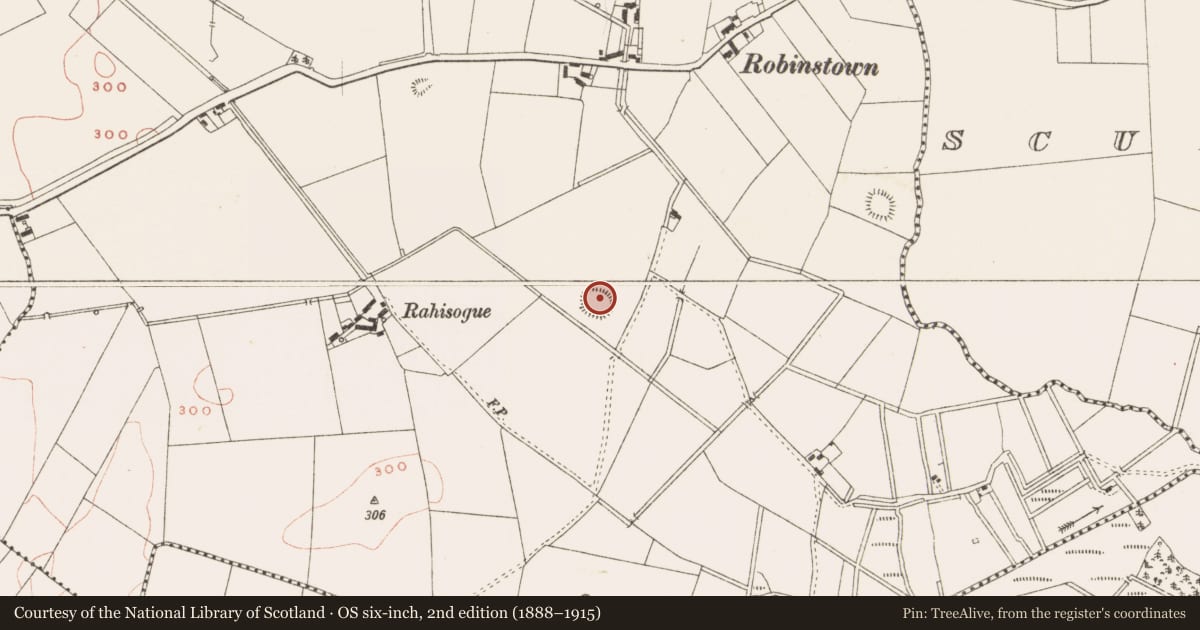 Ordnance Survey six-inch map, 2nd edition (1888–1915) covering the location of Ringfort - rath, Robinstown, County Meath, with a pin at the register's coordinates