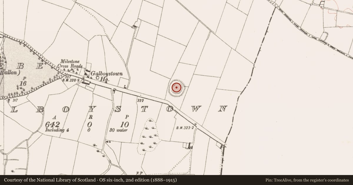 Ordnance Survey six-inch map, 2nd edition (1888–1915) covering the location of Ringfort - rath, Galboystown, County Meath, with a pin at the register's coordinates